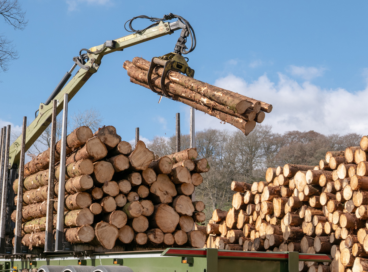 Log removal