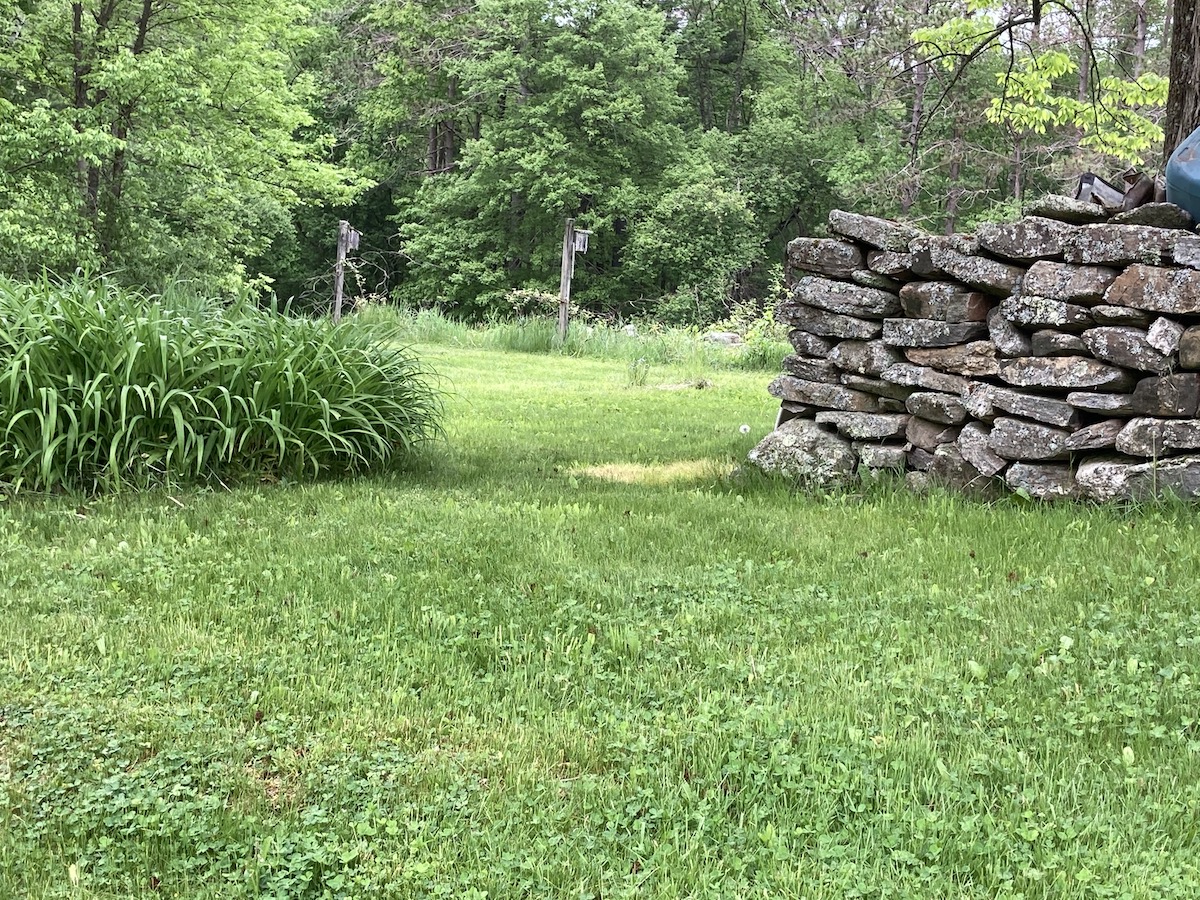 photo of a nature trail